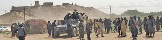 talibanes