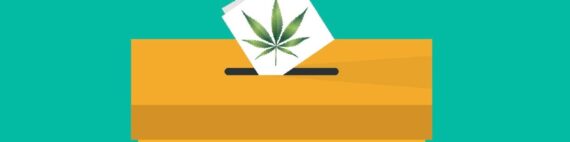 elecciones Narcotrafico