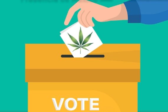 elecciones Narcotrafico